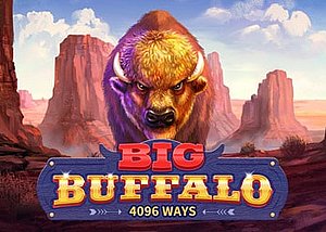 Big Buffalo