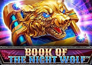 Book Of The Night Wolf