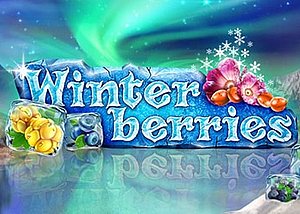Winterberries